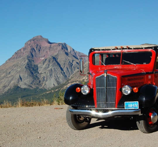 Historic Red Buses